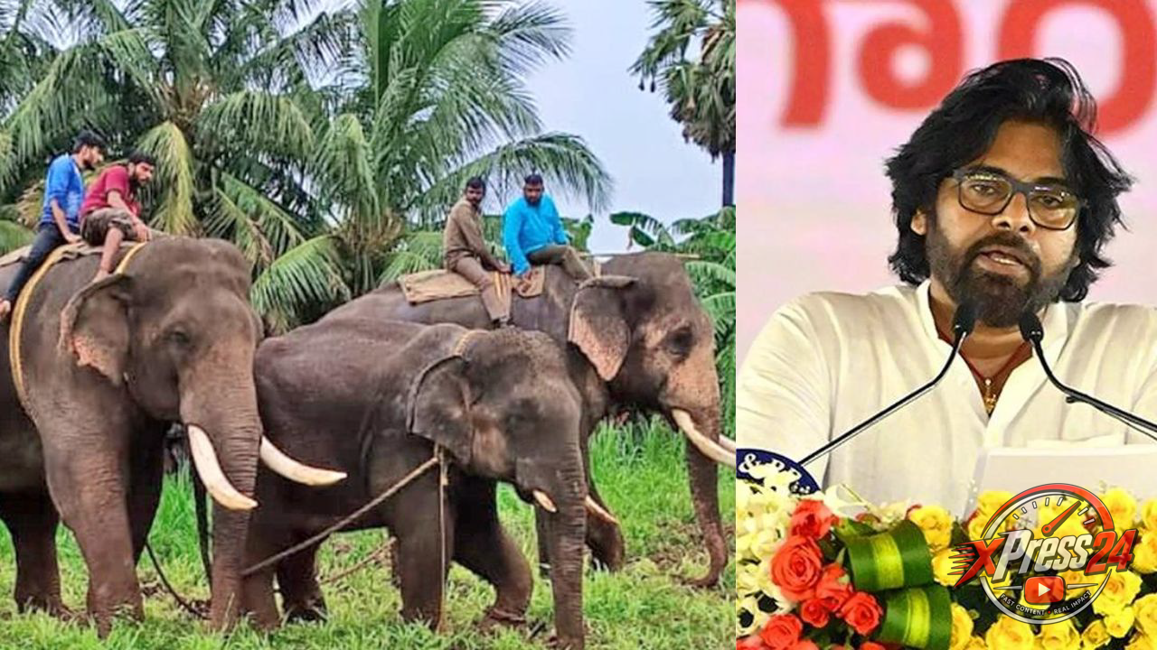 ఏనుగుల సంచారం పట్ల అప్రమత్తం