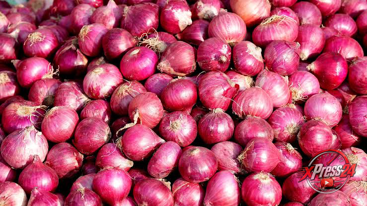 ఉల్లిపాయల విక్రయాలు