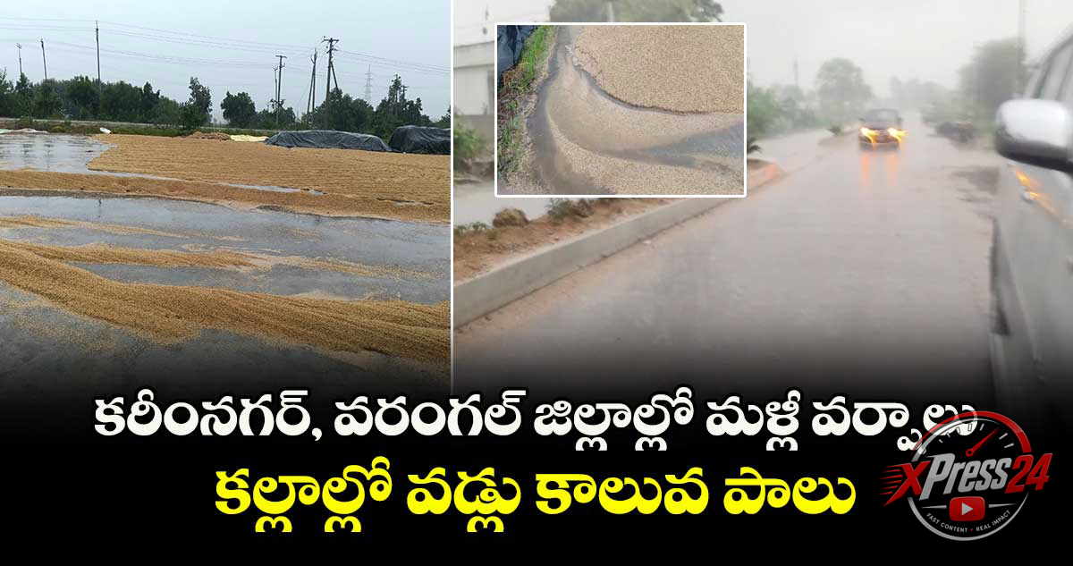 కరీంనగర్ జిల్లాలో వర్షాలతో రైతులకు ఊరట – జలపాతం వద్ద సందడి