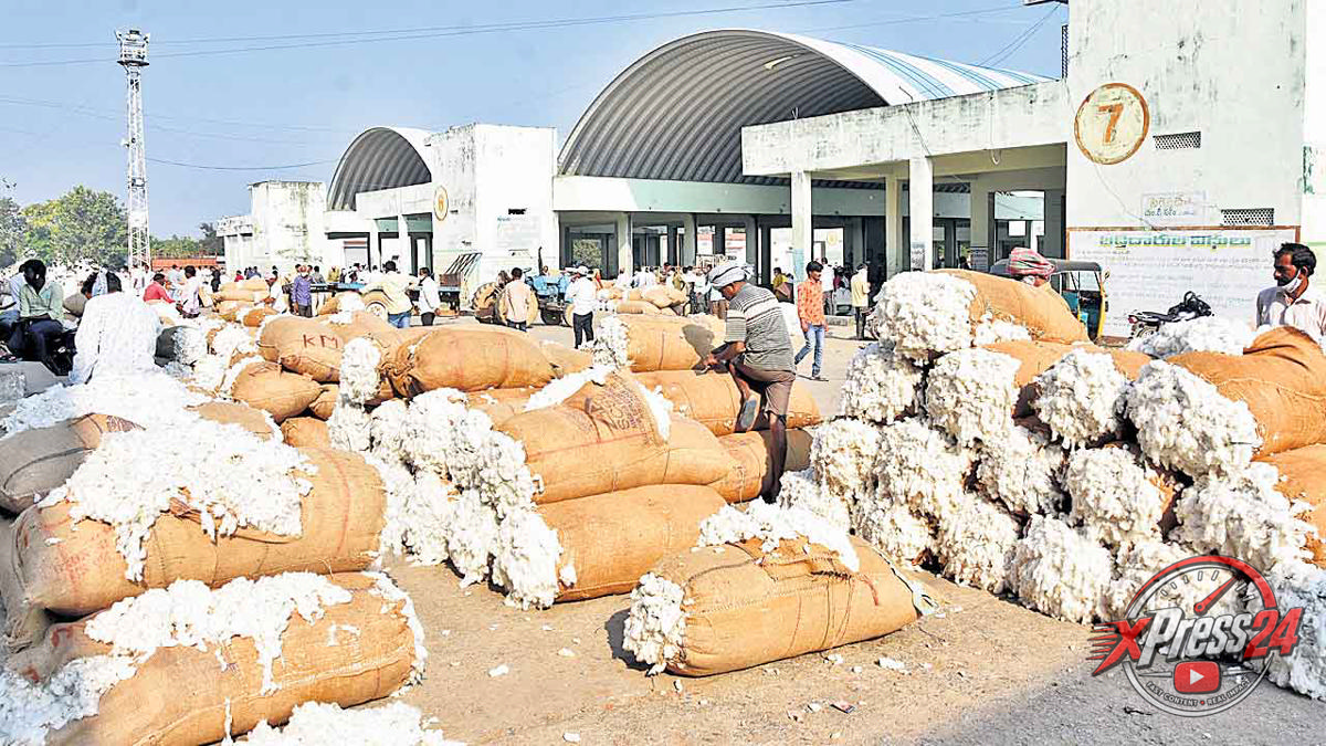 తెలంగాణలో పత్తి కొనుగోలుకు చర్యలు