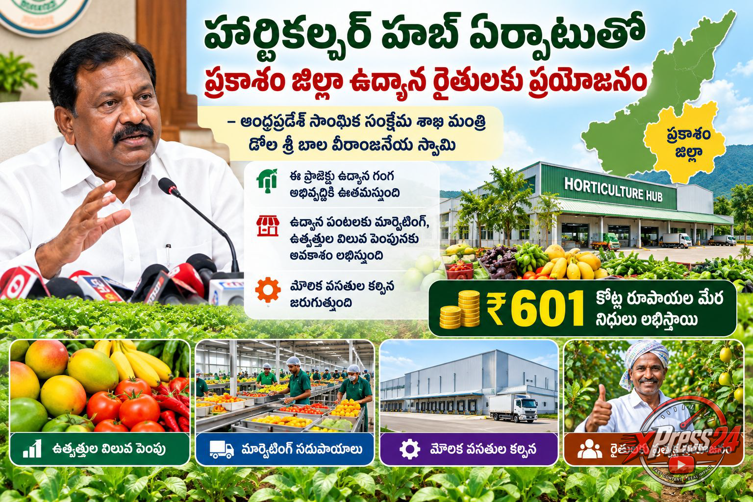 హార్టికల్చర్ హబ్ ఏర్పాటుతో ప్రకాశం జిల్లా ఉద్యాన రైతులకు ప్రయోజనం