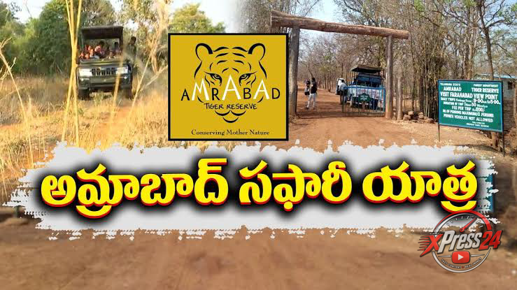 అమ్రాబాద్ టైగర్ రిజర్వ్లో నేటి నుంచి జంగిల్ సఫారీ పునఃప్రారంభం