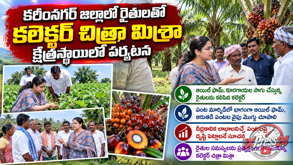 ఆయిల్ ఫామ్, ఆరుతడి పంటల సాగుతో దీర్ఘకాలిక లాభాలు: కలెక్టర్ చిత్రా మిశ్రా
