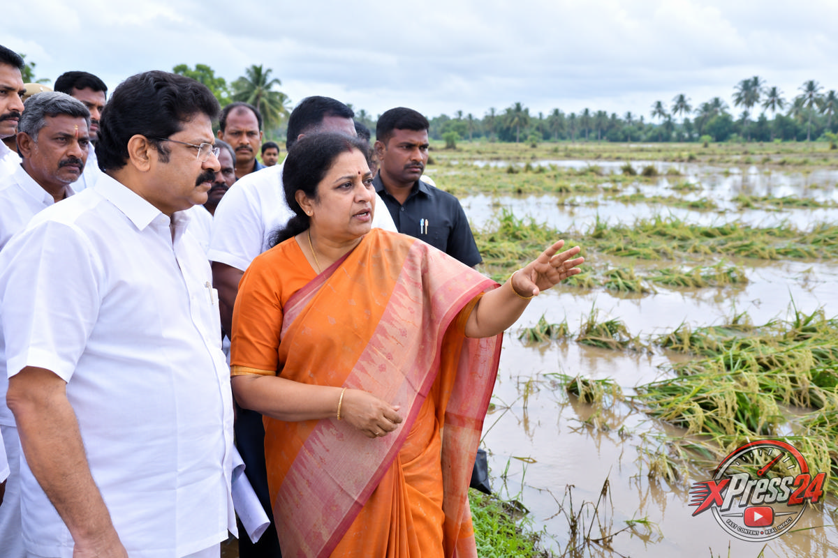 దెబ్బతిన్న పంటలను పరిశీలించిన పార్లమెంట్ సభ్యురాలు పురందేశ్వరి