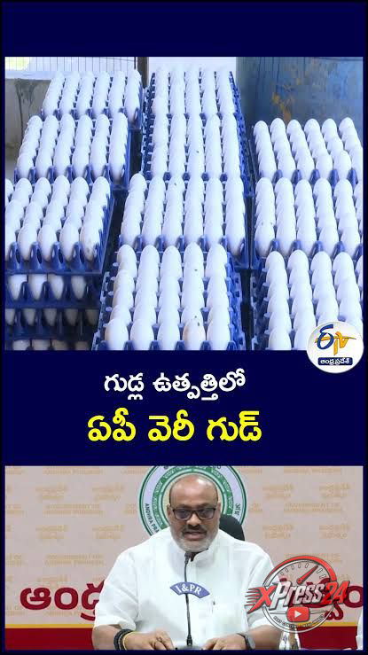 గుడ్ల ఉత్పత్తిలో ఆంధ్రప్రదేశ్ అగ్రస్థానం
